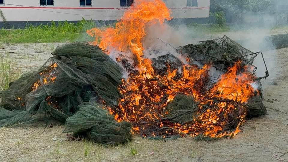 ফরিদপুরে জীববৈচিত্র্য রক্ষায়অভিযান, ৪শ চায়না দোয়ারি জব্দ,পুড়িয়ে ধ্বংস