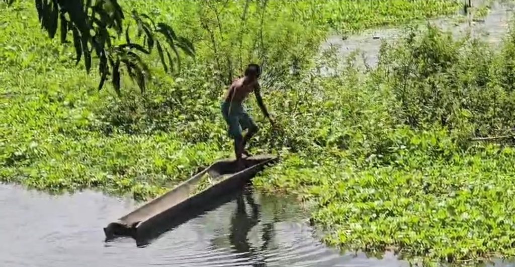জলবায়ুর পরিবর্তনে গ্রাম-বাংলার ঐতিহ্যবাহী তালের ডোঙ্গা নৌকা বিলুপ্তির পথে