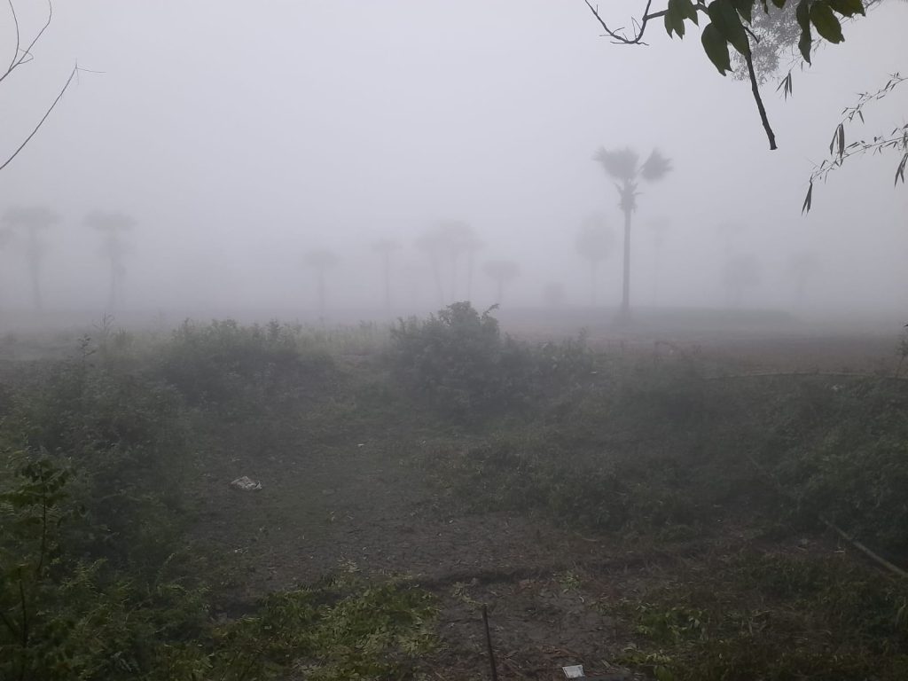 হঠাৎ শীত আর ঘন কুয়াশায় ঢেকে গেল ফরিদপুর, চিন্তিত পেঁয়াজ চাষিরা