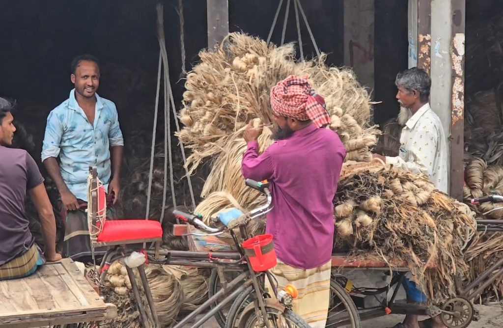 পাটের ভালো ফলনেও ন্যায্যমূল্য নিয়ে শঙ্কায় চাষিরা