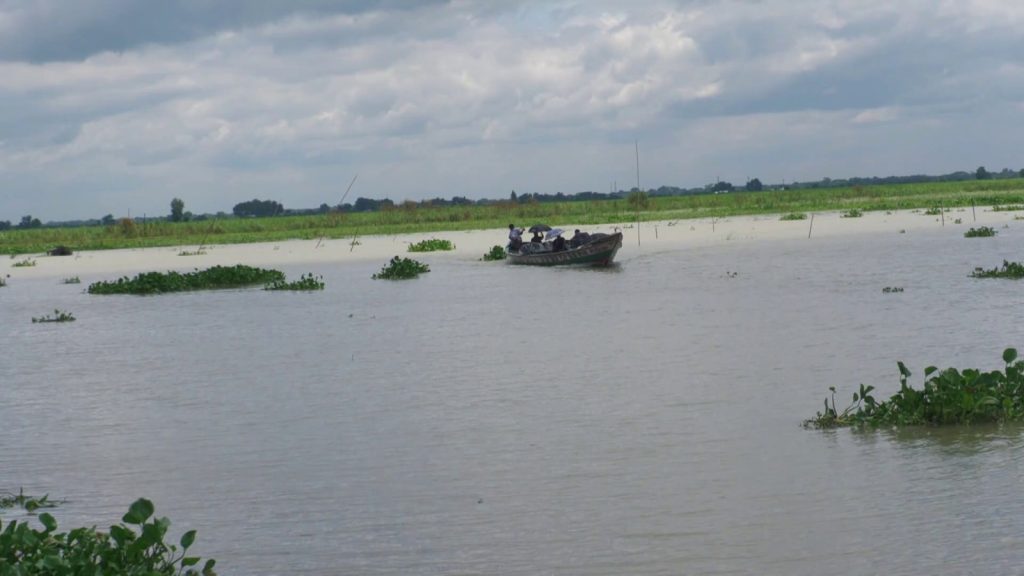 পদ্মায় আরও এক অর্ধগলিত নারীর লাশ উদ্ধার
